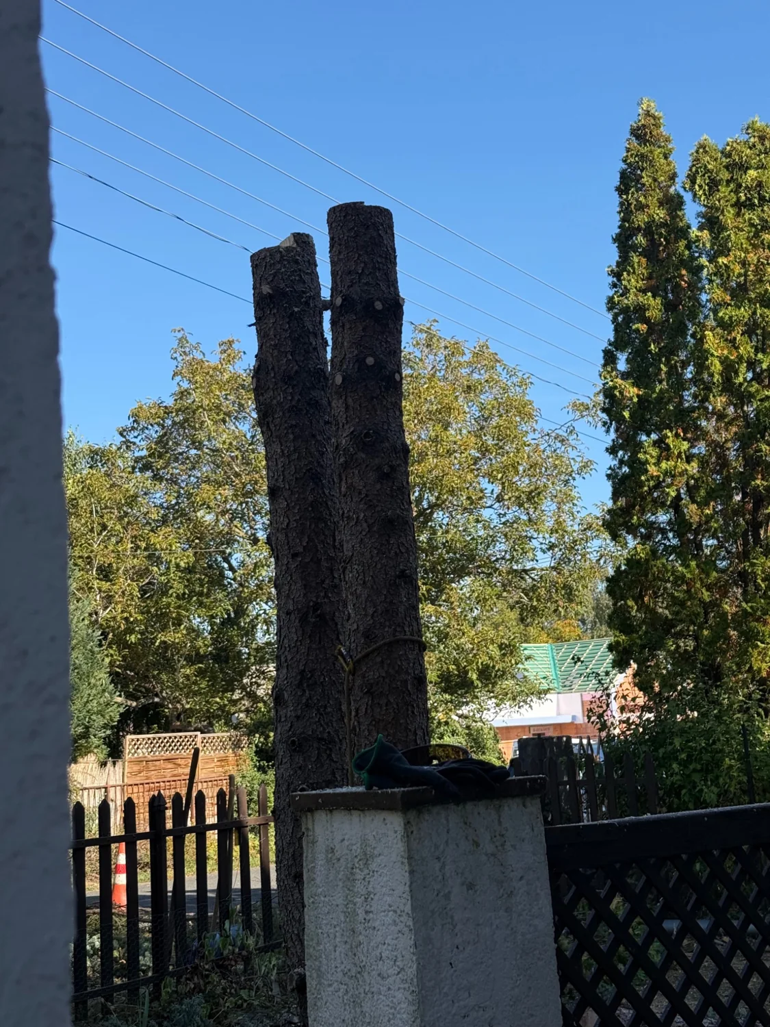 Részben visszabontott fatörzsek lakóingatlan kerítése mellett.